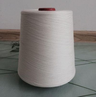 點(diǎn)擊查看詳細(xì)信息<br>標(biāo)題：絹絲粘膠混紡紗 閱讀次數(shù)：3544