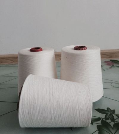 點(diǎn)擊查看詳細(xì)信息<br>標(biāo)題：環(huán)錠紡滌綸紗 閱讀次數(shù)：9517