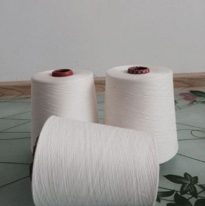 點(diǎn)擊查看詳細(xì)信息<br>標(biāo)題：環(huán)錠紡麻灰紗 閱讀次數(shù)：839